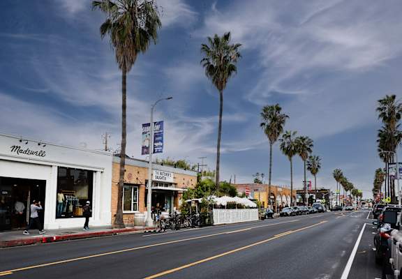 A street view with palm trees and a storefront named Medwilde.