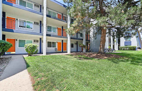 A tree is in front of a building with balconies.