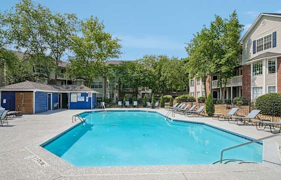 A large swimming pool surrounded by lounge chairs and trees.