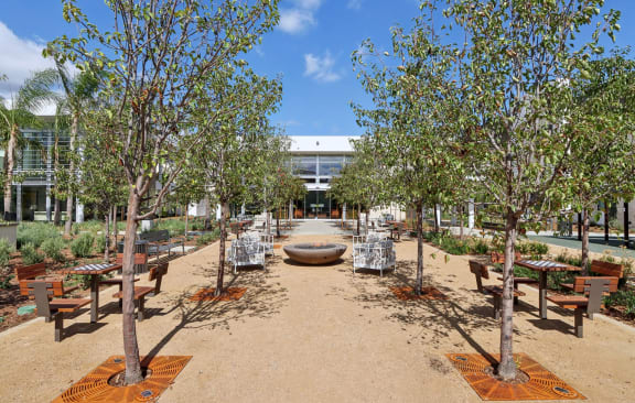 the sun sets over a lush green vineyard at The Max on Jefferson Apartments, Murrieta, 92562
