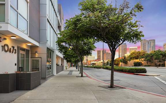 A tree stands on a sidewalk in front of a building with the number 10473 on it.