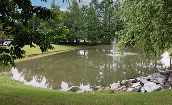 a small pond with a fountain in the middle of it