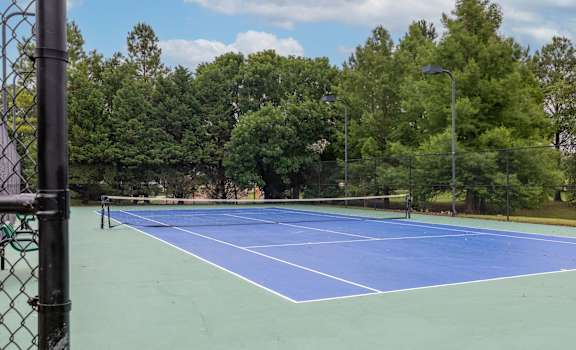 a blue tennis court with a fence around it and trees