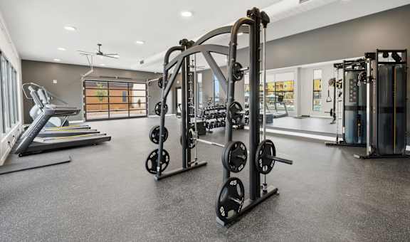 A gym with a treadmill, weights, and a squat rack.