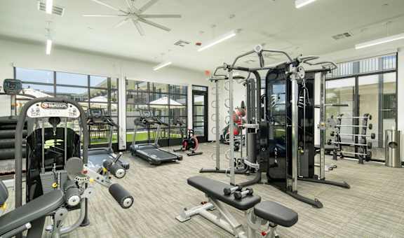 A gym with a variety of equipment including treadmills, weights, and a bench press.
