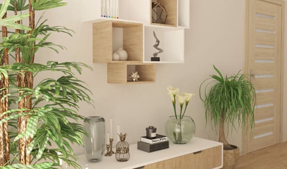 a room filled with furniture and a large green plant
