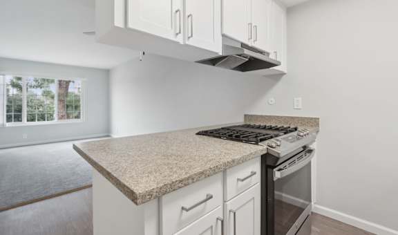 A kitchen with a granite countertop and white cabinets.
