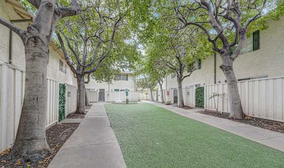 a yard in front of a building with trees