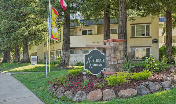 our apartments are located in the heart of the city