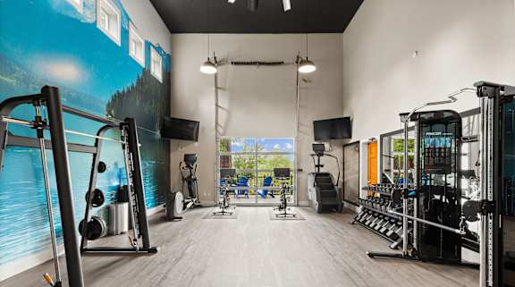 A gym with a variety of equipment including a squat rack, a bench press, and a rowing machine.