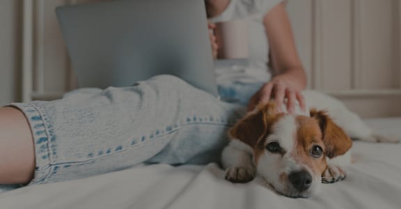 A woman is sitting on a bed with a laptop and a cup, with a dog lying next to her.