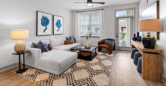A living room with a grey couch, a coffee table, and a rug.