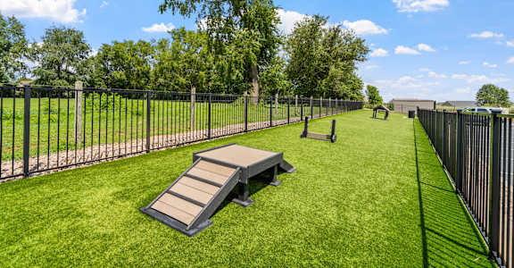 Dog Park with Equipment