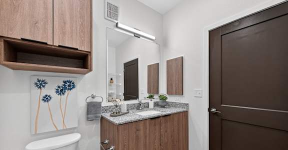 Guest Bathroom at The Landing at Lemay Apartments, Fort Collins, CO