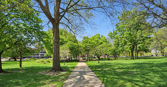 A tree-lined walkway in a park.