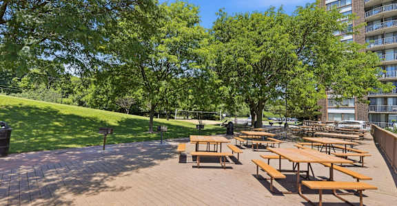 A sunny day at the park with picnic tables and benches.