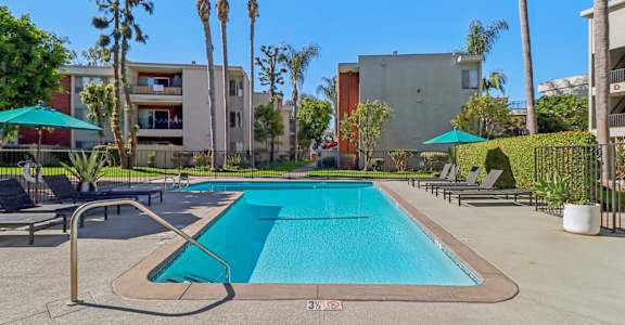 A swimming pool surrounded by palm trees and lounge chairs.