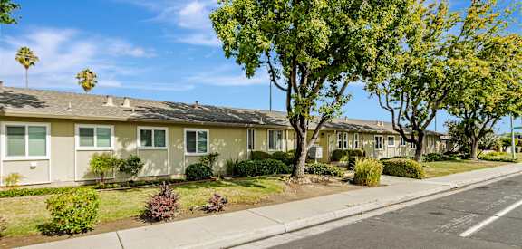 A row of houses with trees in front of them.