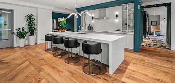 a kitchen with a large white island and black stools