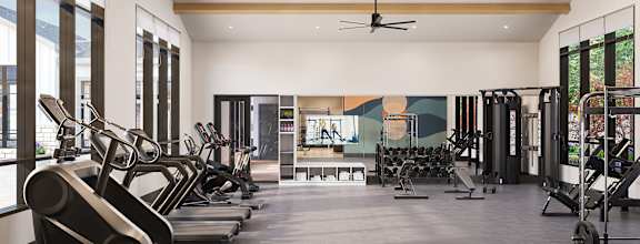 A gym with treadmills, elliptical machines, and weights.