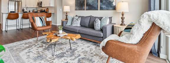 A living room with a grey couch, a brown chair, and a grey rug.
