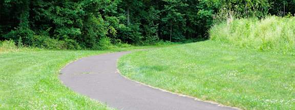 A curvy road in the middle of a lush green forest.