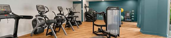 A gym with treadmills, exercise bikes, and weights.