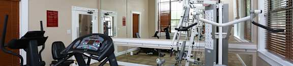 A well equipped gym with a mirror, treadmill, weights and a fan.