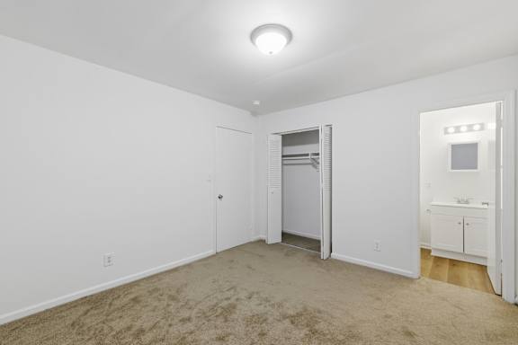 A room with a white wall and a carpeted floor.
