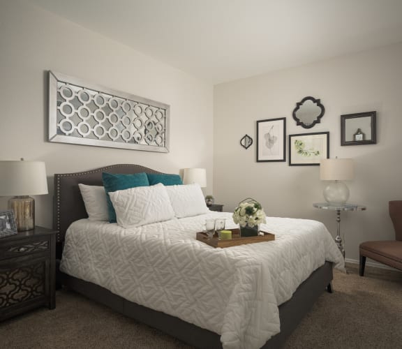 Large bedroom with large walk-in closets at Trevi Apartments