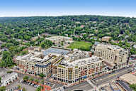 A cityscape with a large building in the center and a green park in the background.