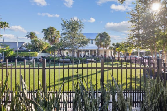 A sunny day at a park with a fence in the foreground.