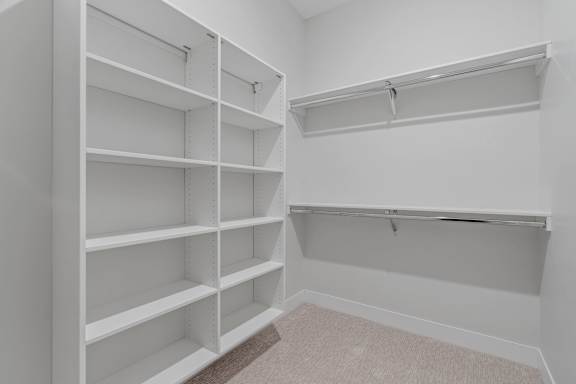 Walk-In Closet With Built-In Shelving