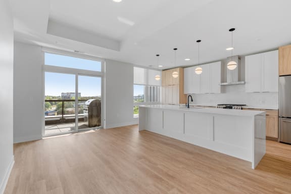 Kitchen Area with Hardwood-Style Flooring