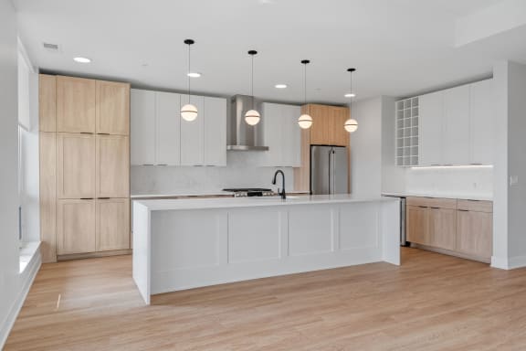 Kitchen with Premium Fixtures and Finishes
