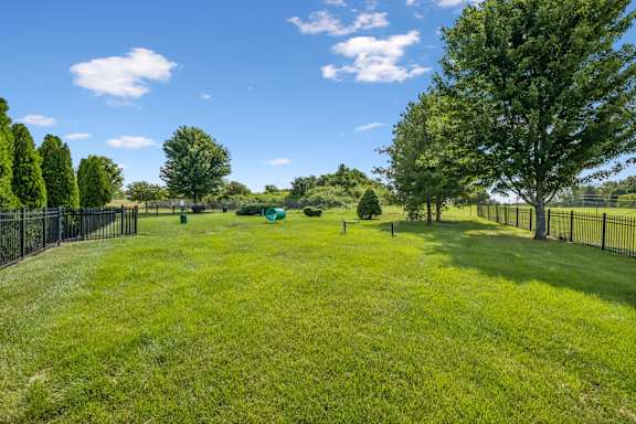A grassy field with trees and a fence.