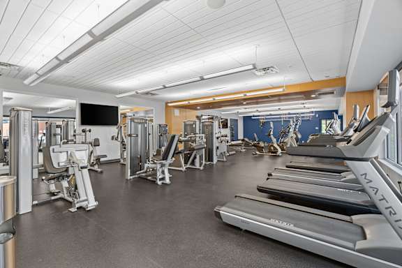 A gym with treadmills, weights, and exercise equipment.