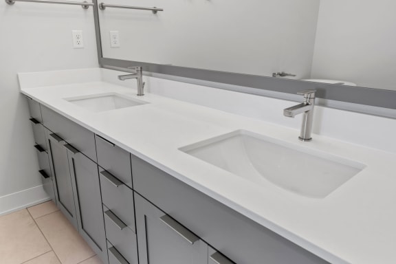Bathroom Counter with Two Sinks