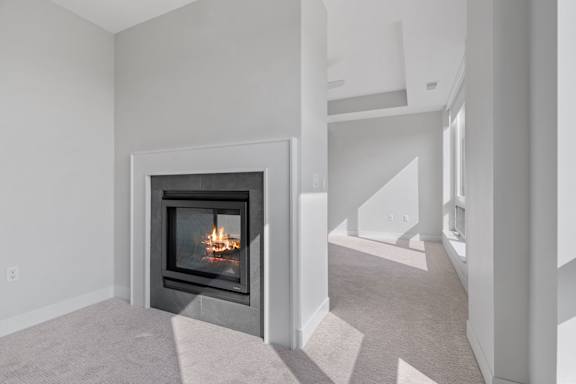 Den Area with Fireplace