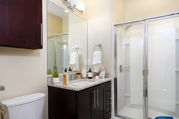 A bathroom with a white toilet, a sink with a mirror above it, and a shower with a glass door.