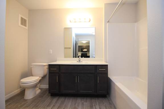 A bathroom with a white toilet, a sink with a mirror above it, and a bathtub.
