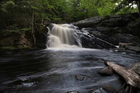 A small waterfall flows into a river in a forest.