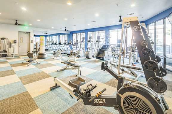 a gym with cardio machines and weights on a checkered floor