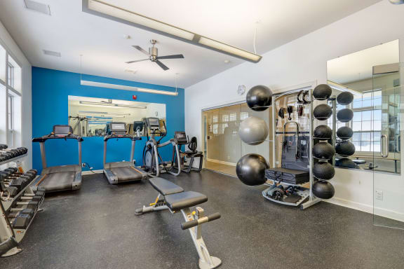a gym with weights and cardio machines and windows
