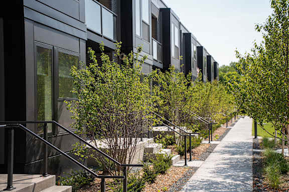 A long row of black houses with trees in front.