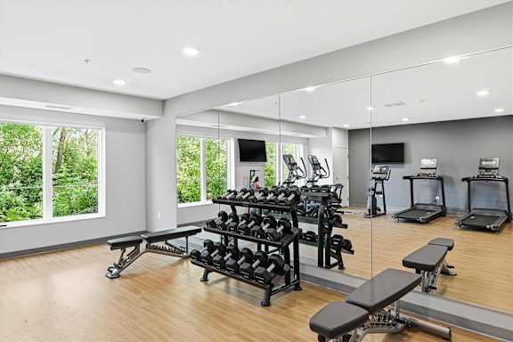 A gym with a variety of equipment including treadmills, weights, and benches.