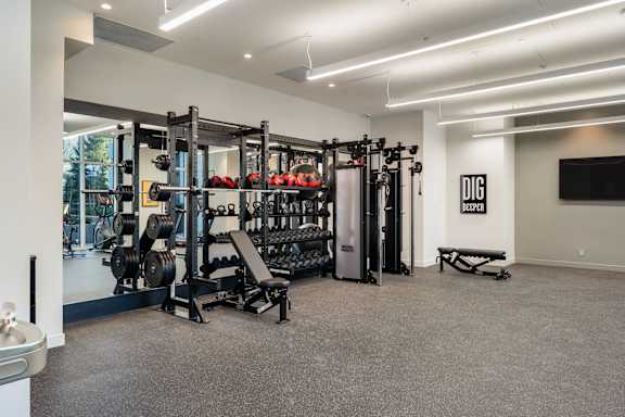 A gym with a variety of equipment including weights and a bench.