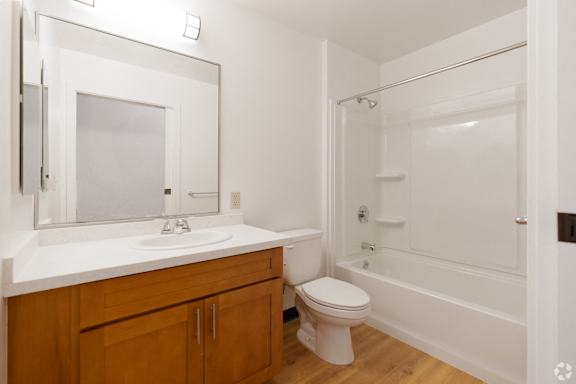 a bathroom with a sink toilet and a shower
