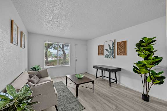 the swimming pool at the falls at rolland park apartments tx