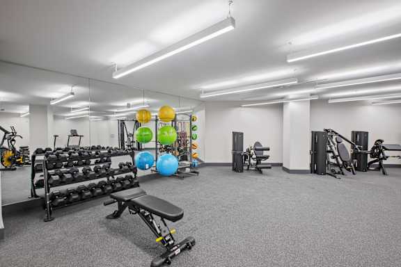 A gym with a variety of equipment including dumbbells, weight plates, and a bench press.